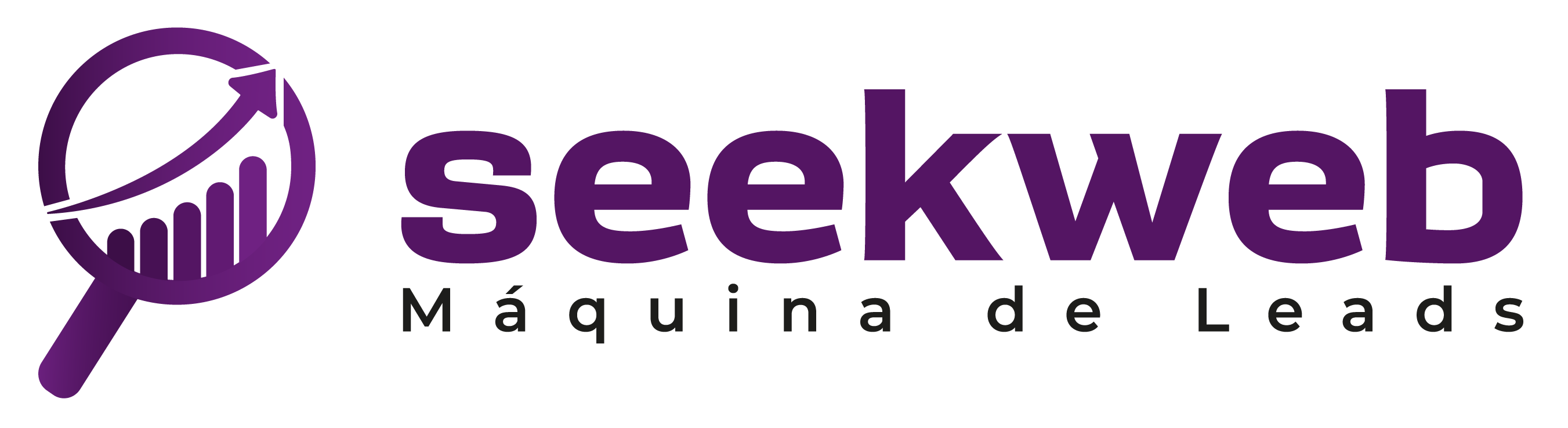Seek Web – Marketing Digital Santos